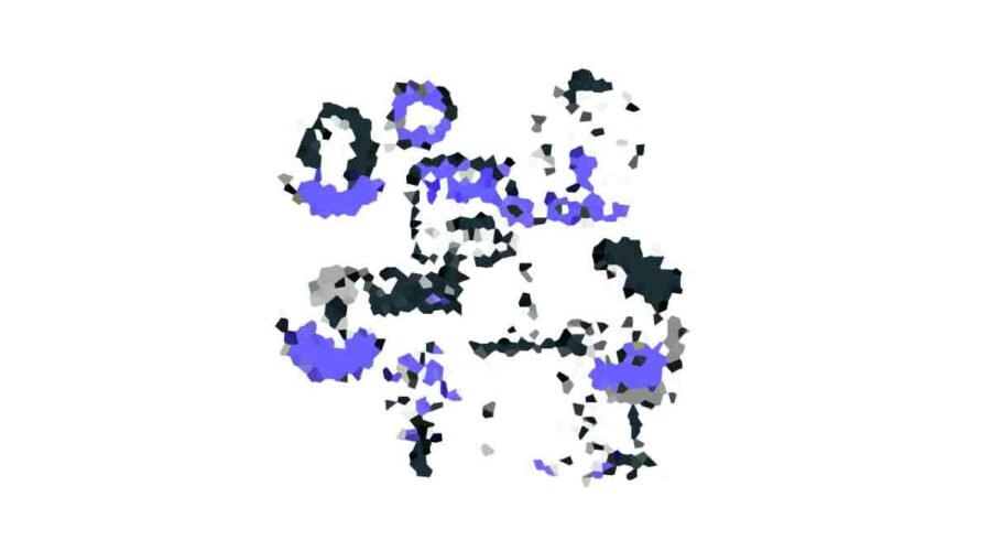 The Power of Product Reviews in Affiliate Marketing